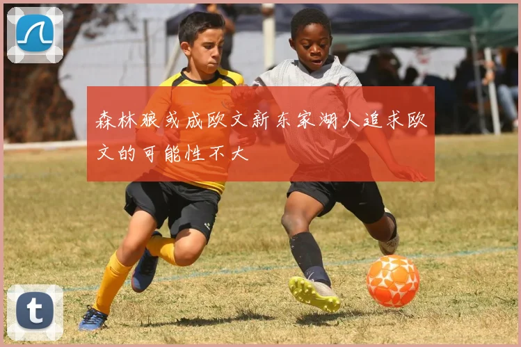 森林狼或成欧文新东家湖人追求欧文的可能性不大