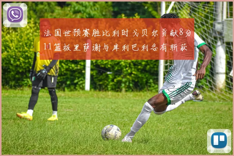 法国世预赛胜比利时戈贝尔贡献8分11篮板里萨谢与库利巴利各有斩获