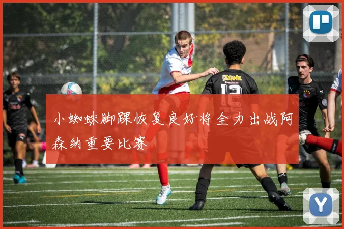 小蜘蛛脚踝恢复良好将全力出战阿森纳重要比赛